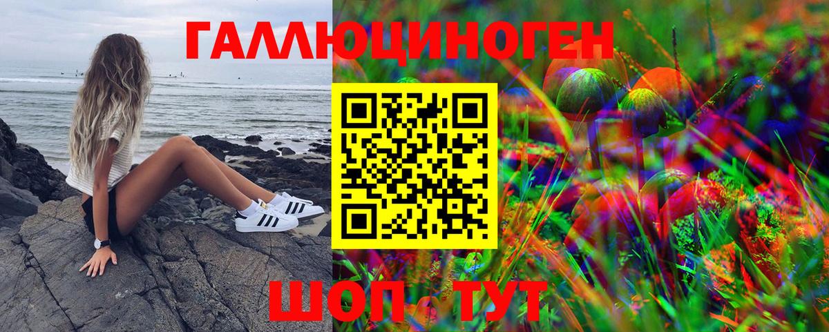 Галлюциногенные грибы Psilocybe Черняховск