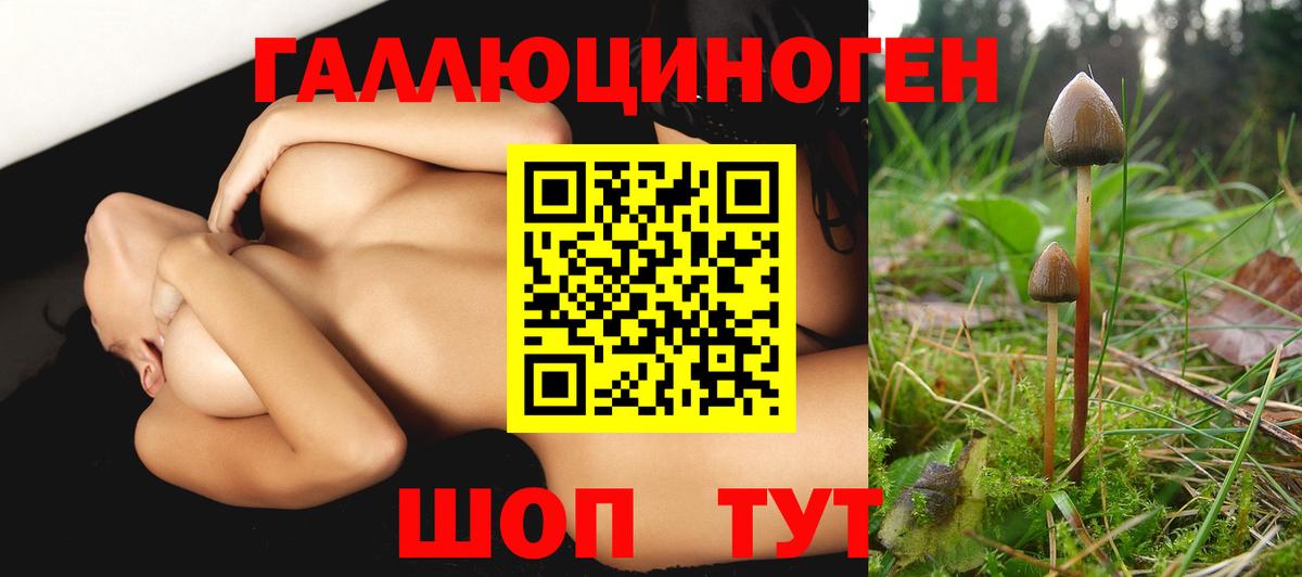 Галлюциногенные грибы прущие грибы  Вход с VPN  что такое наркотик  Черняховск  Псилоцибиновые грибы GOLDEN TEACHER 